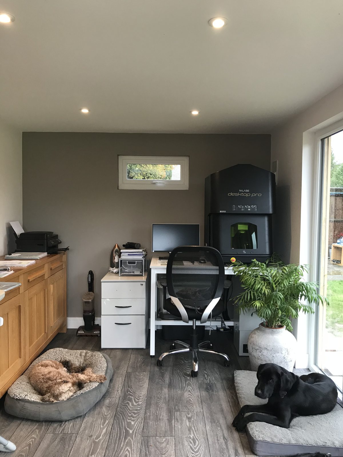 A garden office we built, with a desk, a filing cabinet and two dogs asleep on their beds