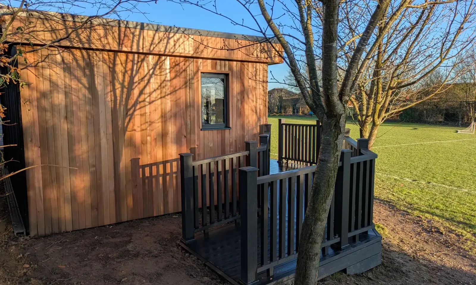 Cedar cladding lit by low winter sun, bare branch shadows raking across the timber